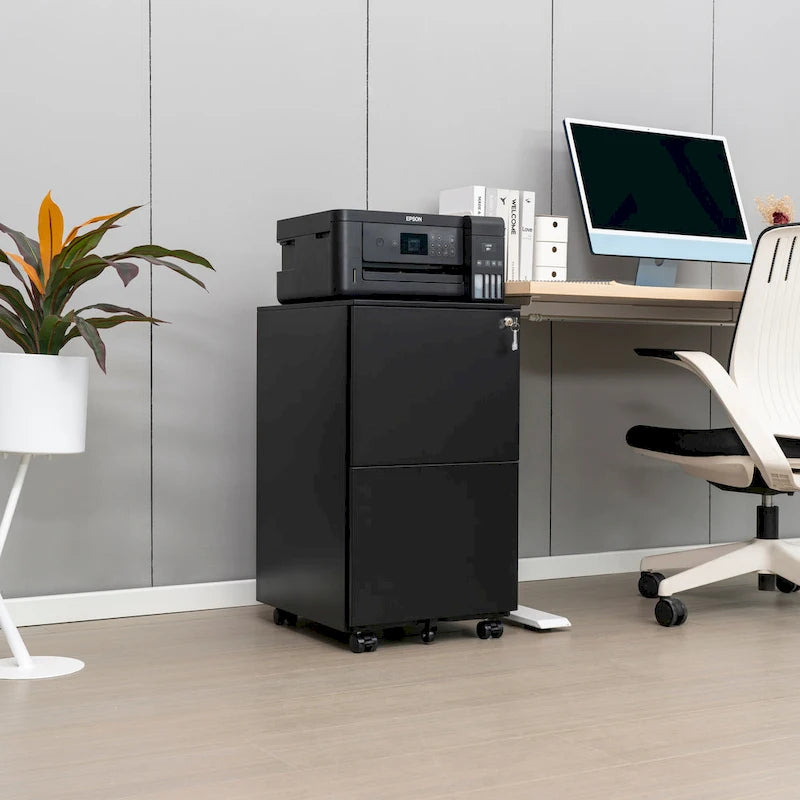 2 Drawer Rolling Locking Office File Cabinet with Lock, Anti-tilt Wheels