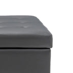 Banc de rangement capitonné moderne et élégant avec plateau relevable