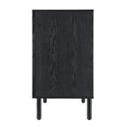 Meuble de rangement noir 2 portes
